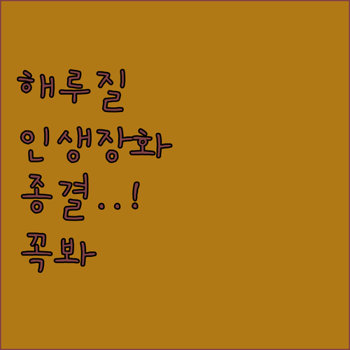 해루질 가슴장화 어린이부터 전문가용까..