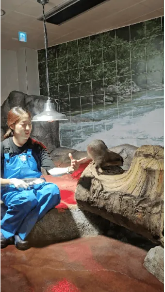 무주 디지털 관광주민증 혜택 사용법 발급 방법_22