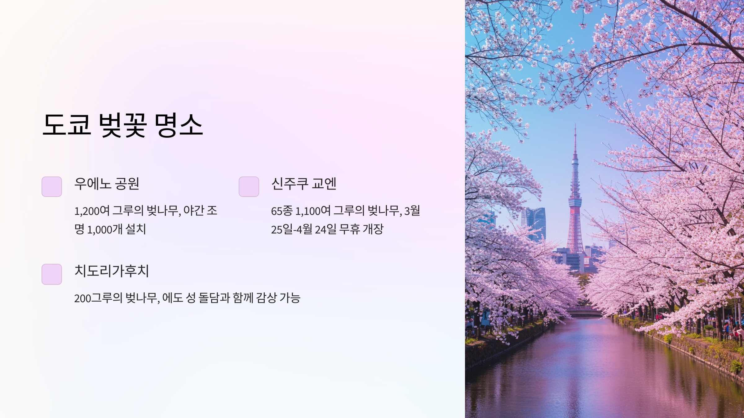 도쿄 벚꽃 명소