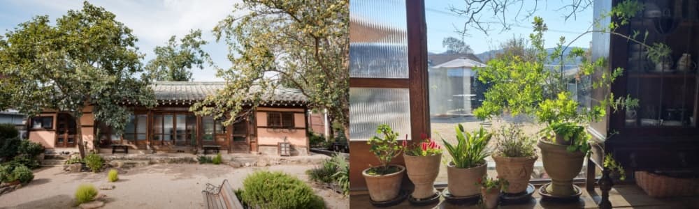 생생정보통 오늘방송(2월 28일) 맛집 샌프란시스코국밥,안나의화원