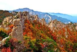 설악산 단풍 축제