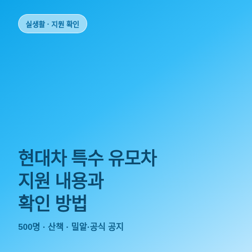 현대차 특수 유모차 지원 내용과 확인 방법 썸네일