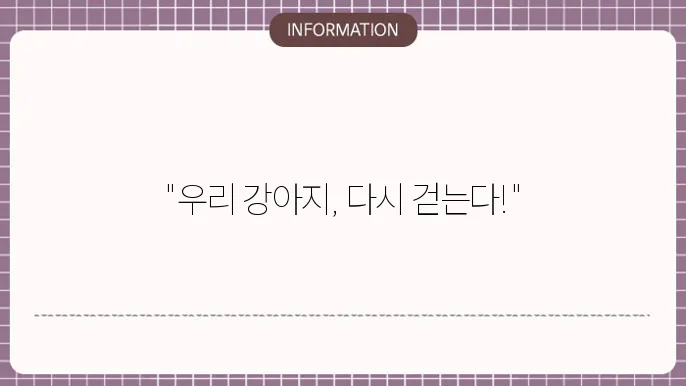 강아지 슬개골 수술 과정