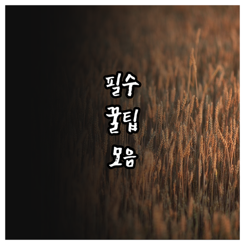 2025 설 추석 성동구 위문금 5만..