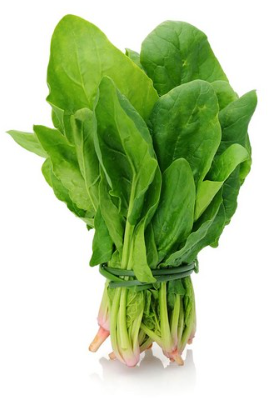 시금치
