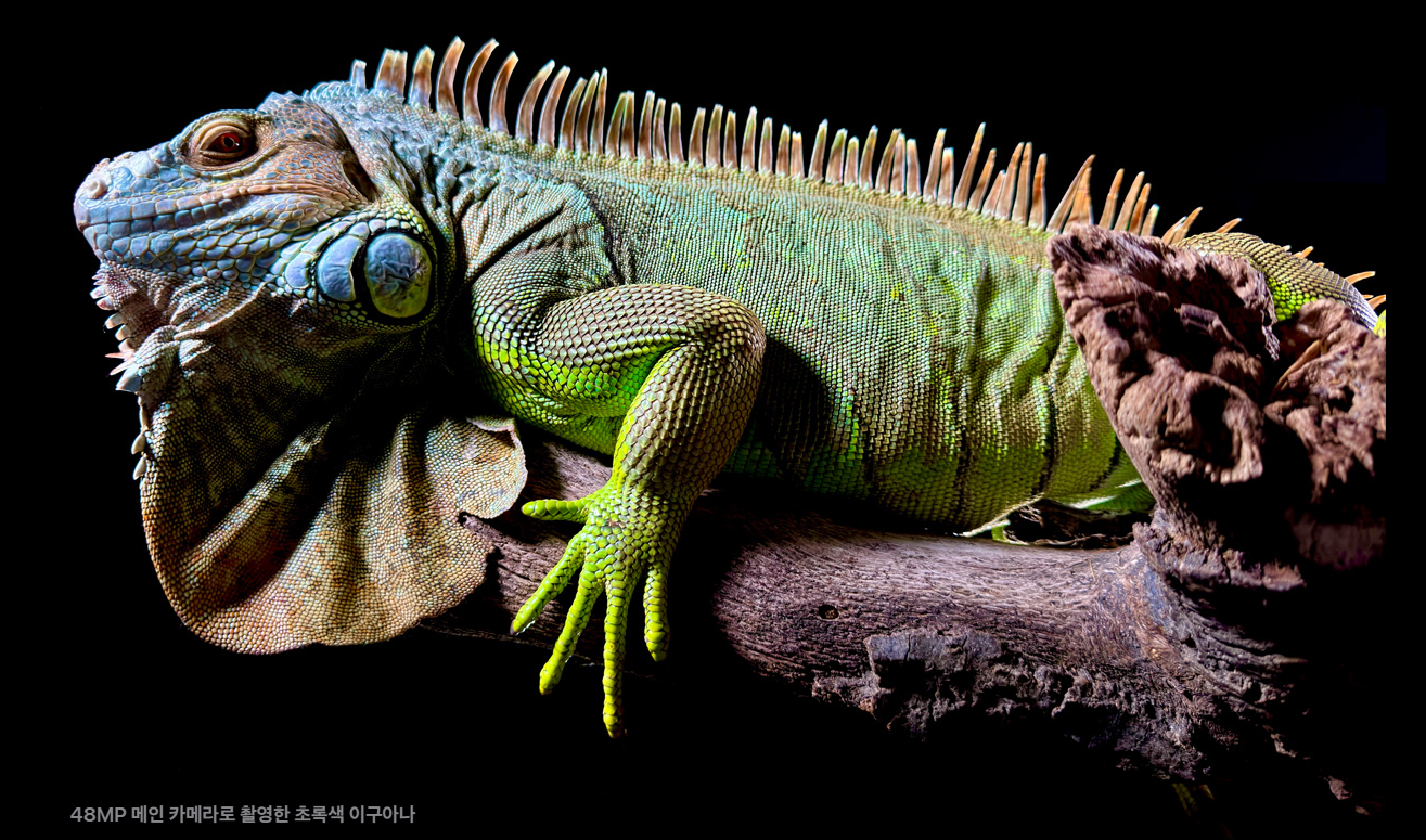 아이폰 15 시리즈 가격 비교