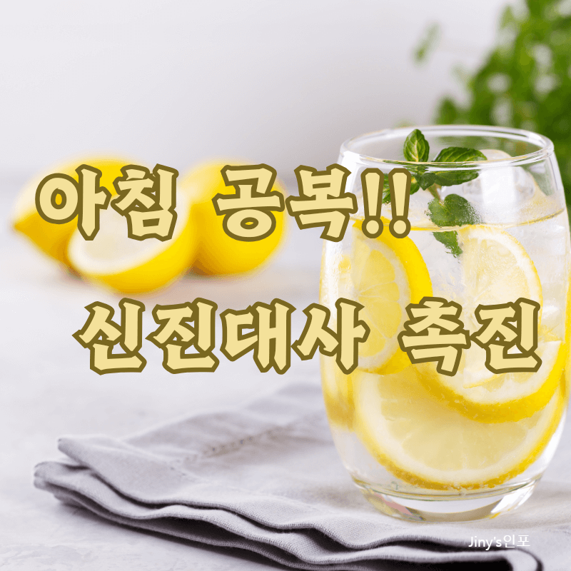 아침 공복에 마시는 레몬수의 효능