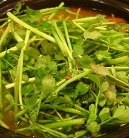 미나리 효능 부작용 고르는법 칼로리