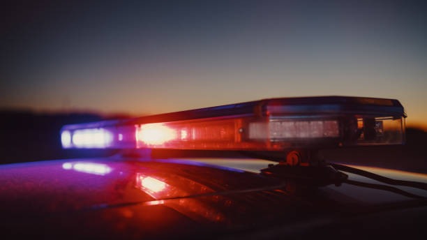 815-광복절-특별사면-운전면허-확인