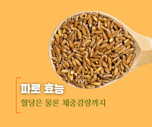 파로-효능