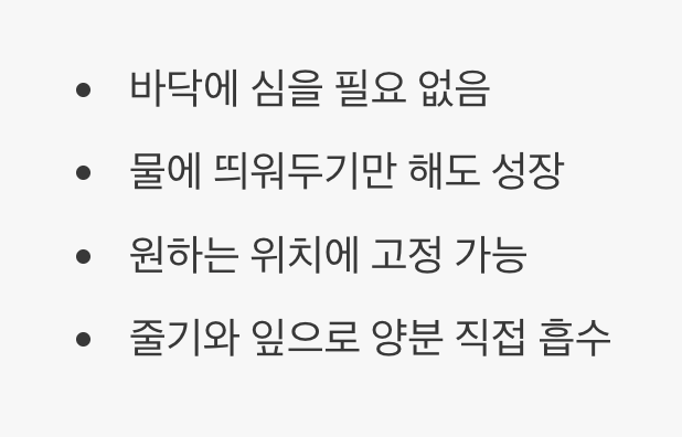 심지 않아도 자라는 놀라운 생명력