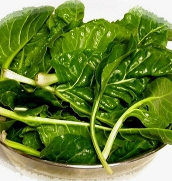 근대 효능과 부작용 나물 먹는법 고르는법 칼로리