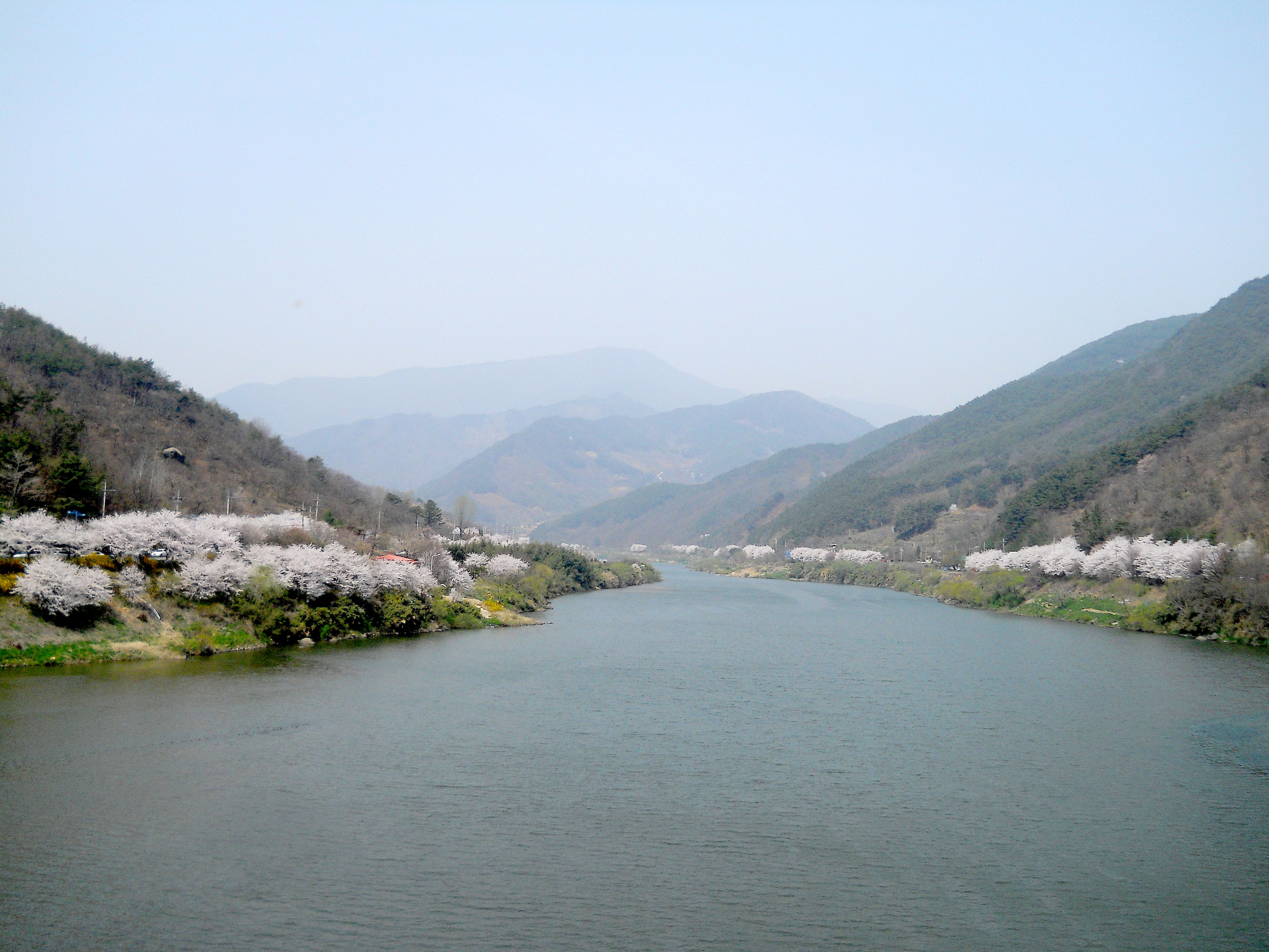 화개장터에서 쌍계사까지 혼례길 하동십리벚꽃길