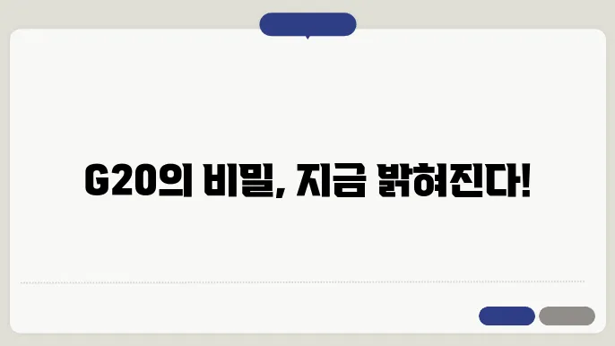 G20 국가와 정상회담
