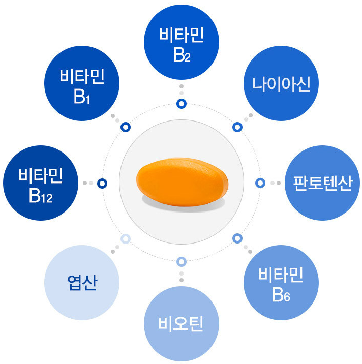 비타민B군