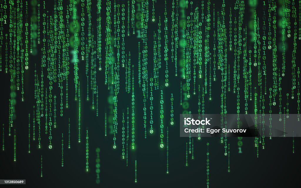 구글 검색 알고리즘 변화와 SEO 대응법