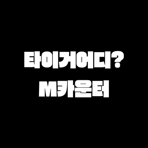 타이거에어 타이완 인천 제1터미널 D..