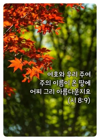 시편 8편 설교 아이디어 찬양 묵상 말씀_16