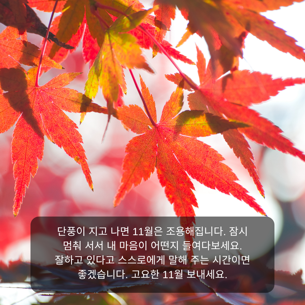 11월 인사말 23 단풍 진 뒤 고요한 11월 인사말 이미지