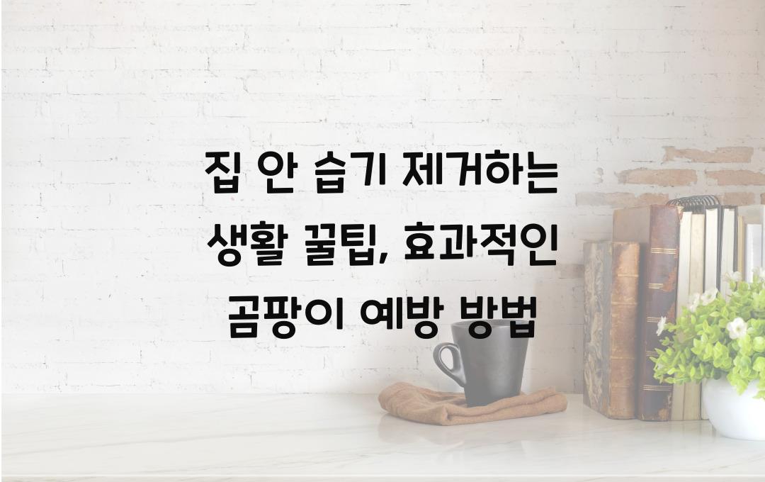 집 안 습기 제거하는 생활 꿀팁, 곰팡이 예방에 효과적인 방법