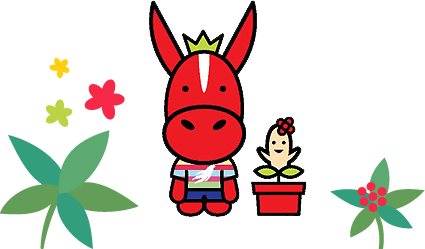 2025 진안홍삼축제 완벽 가이드