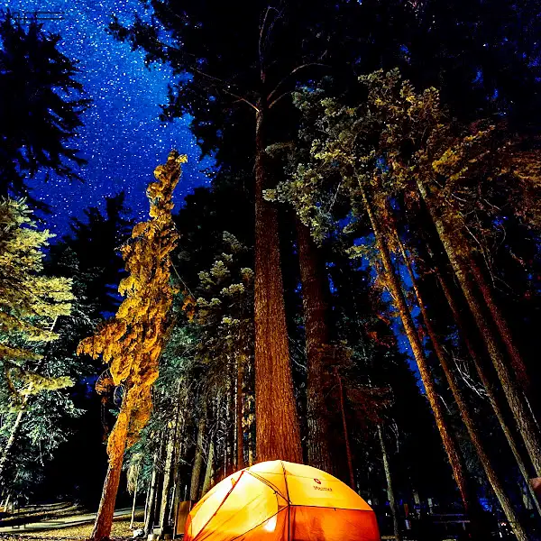 생방송오늘저녁 충북 진천 5성급 장박지 솔로 캠퍼 새해 첫 겨울 별장 캠핑장 캠핑 가볼만한 곳 추천