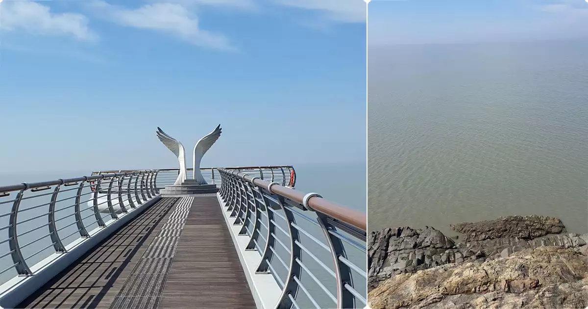 백수해안도로의 천사날개