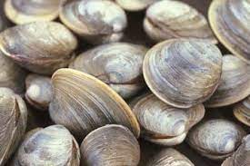 통풍 환자가 피해야 할 음식