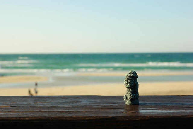 2025년 전국 봄꽃축제 일정 총정리(서울&amp;#44; 경기&amp;#44; 제주&amp;#44; 전라도&amp;#44; 경상도 벚꽃&amp;튤립)