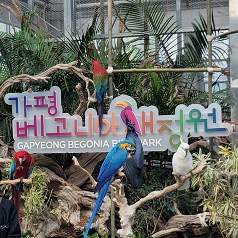 가평 베고니아 새정원 - 아이와 가볼만한 곳 추천, 후기
