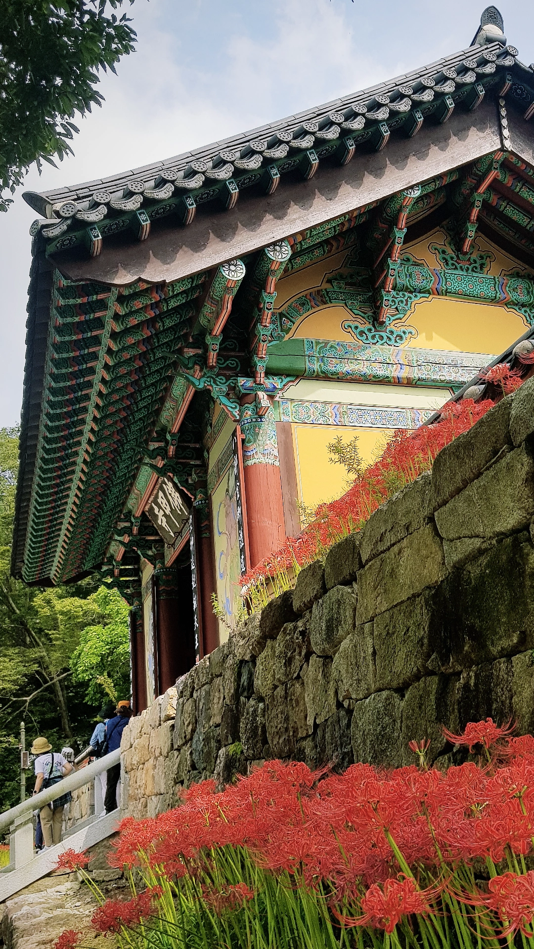 상사화-꽃무릇