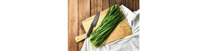 도마-위에-부추가-가지런히-놓여있는-모습