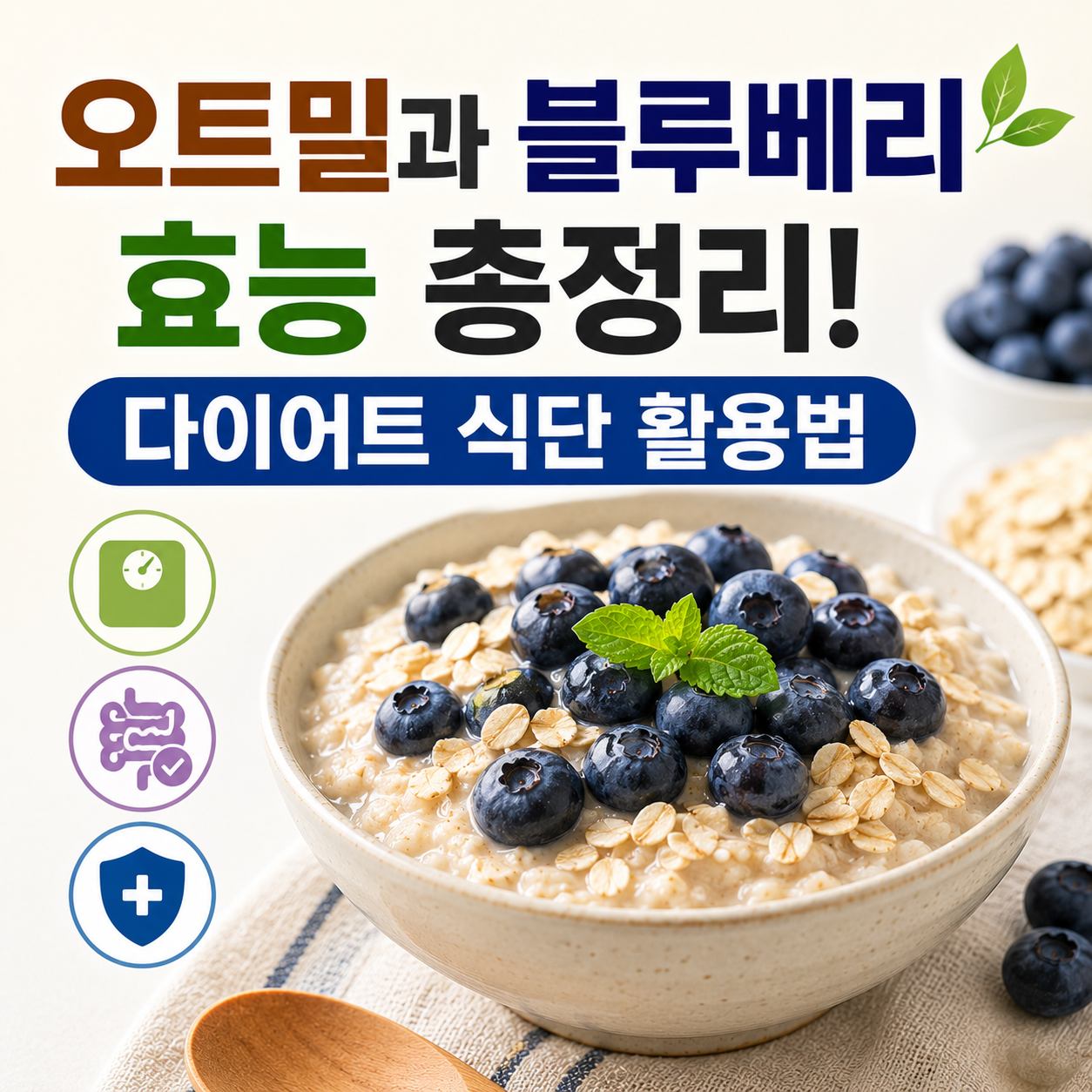 오트밀과 블루베리 궁합