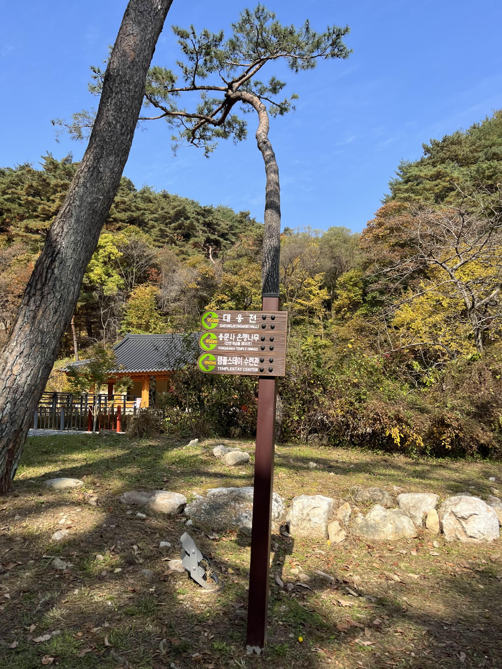 단풍명소 용문사