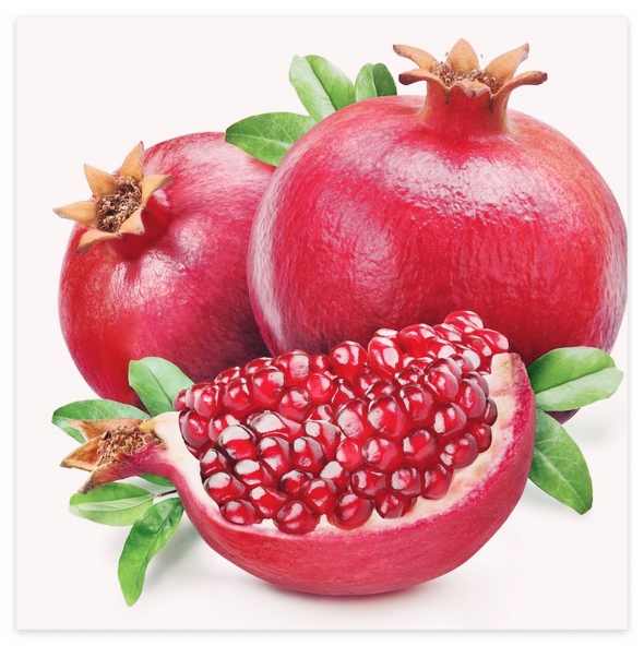 전립선에-좋은-음식