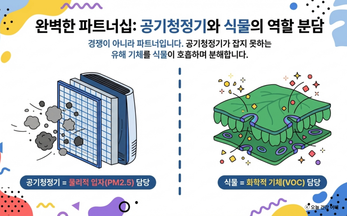 공기청정기와 식물의 역할 분담