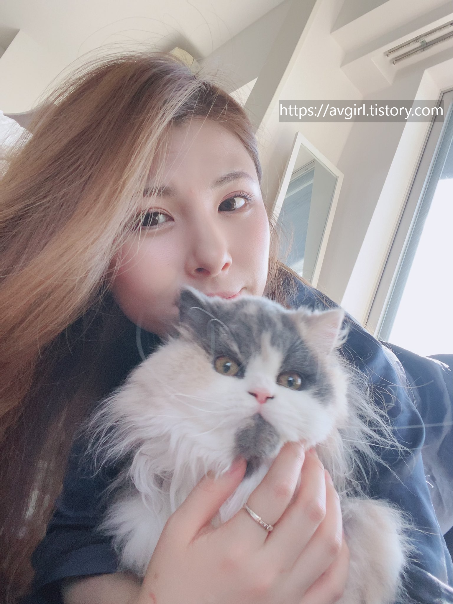 아이노 레이