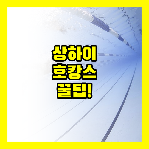 가족 여행 상하이 호텔 3곳 수영장 ..