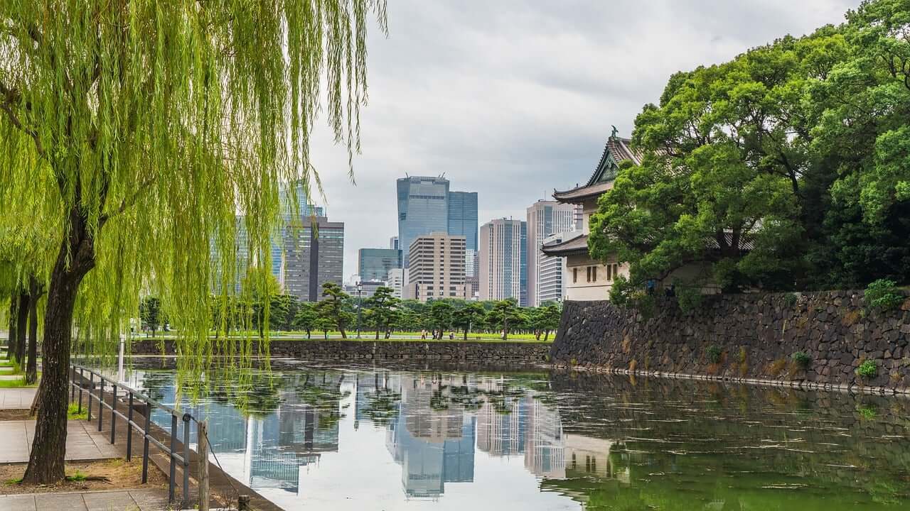 AI 서비스와 도시 숲 관광 및 교육과의 연계