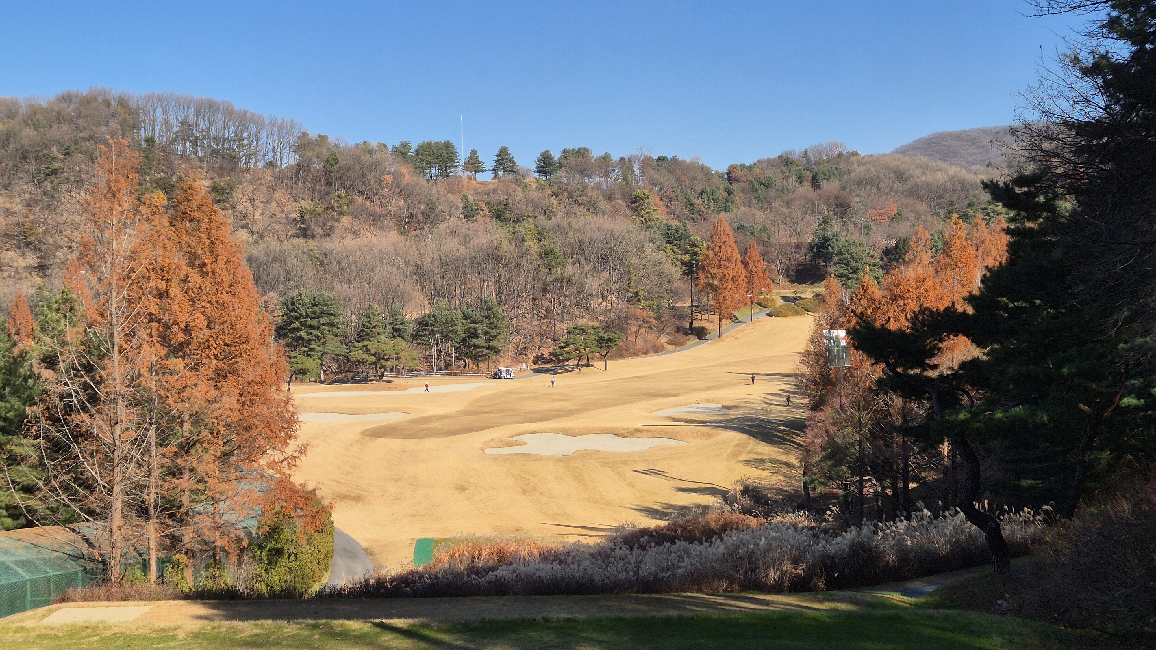 88cc 서코스 사진 및 공략 정보