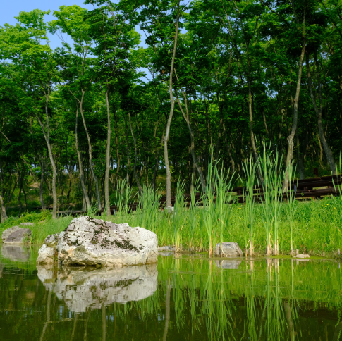 대구 군위 사유원 관람 예약