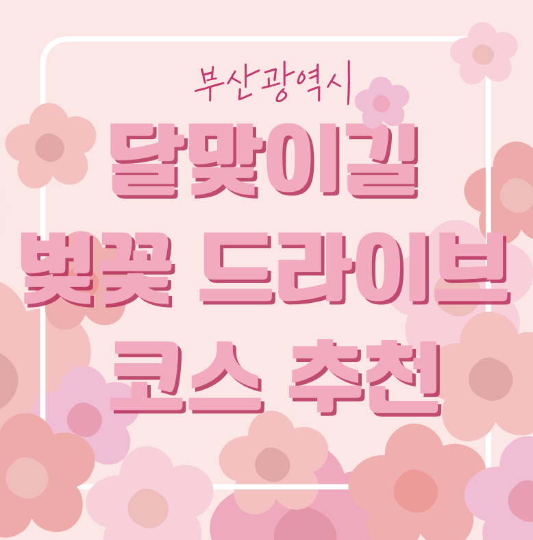 부산 달맞이길 벚꽃 드라이브 코스