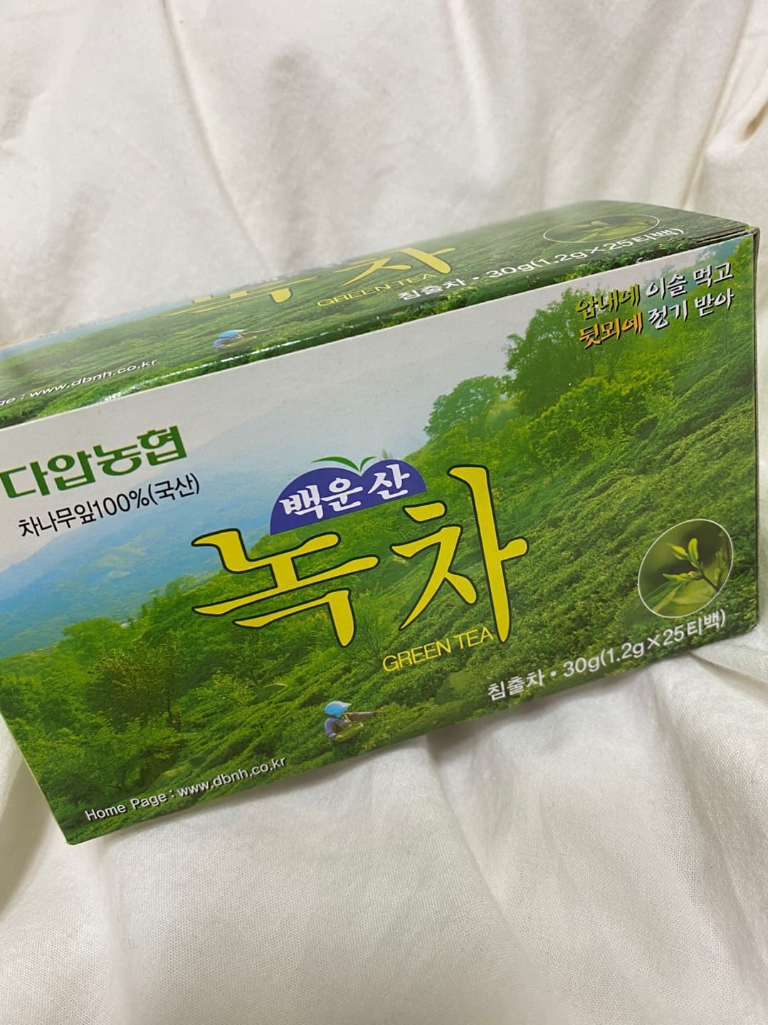 녹차