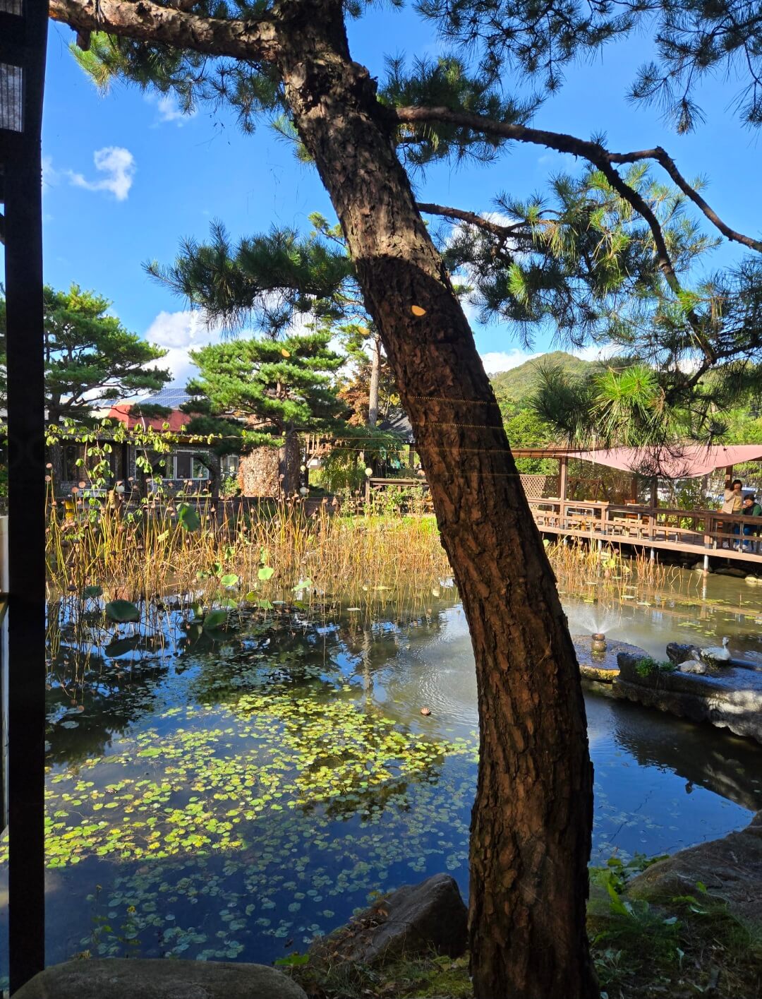 가평설악면 맛집 들풀 정원