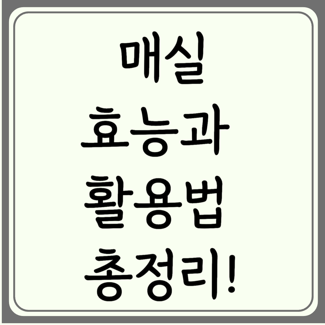초여름의 선물, 매실의 효능과 활용법 총정리! 요리법과 주의사항까지