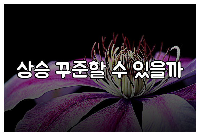상승 꾸준할 수 있을까
