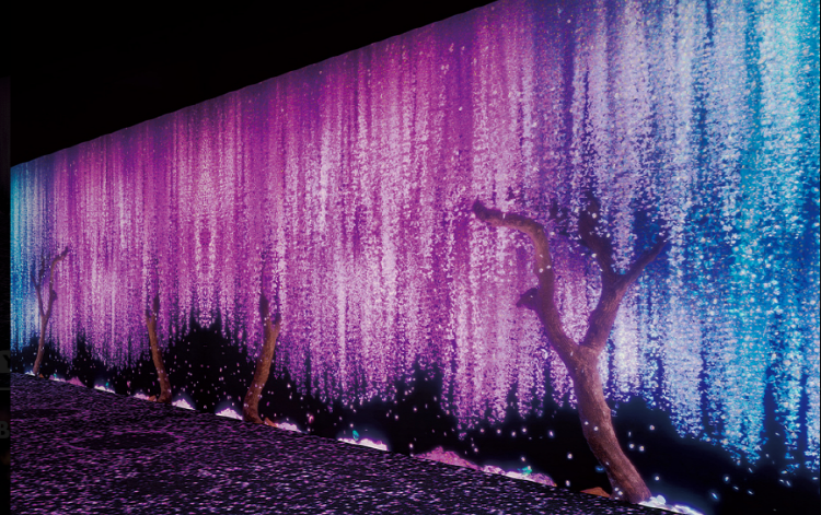 여수 아르떼뮤지엄