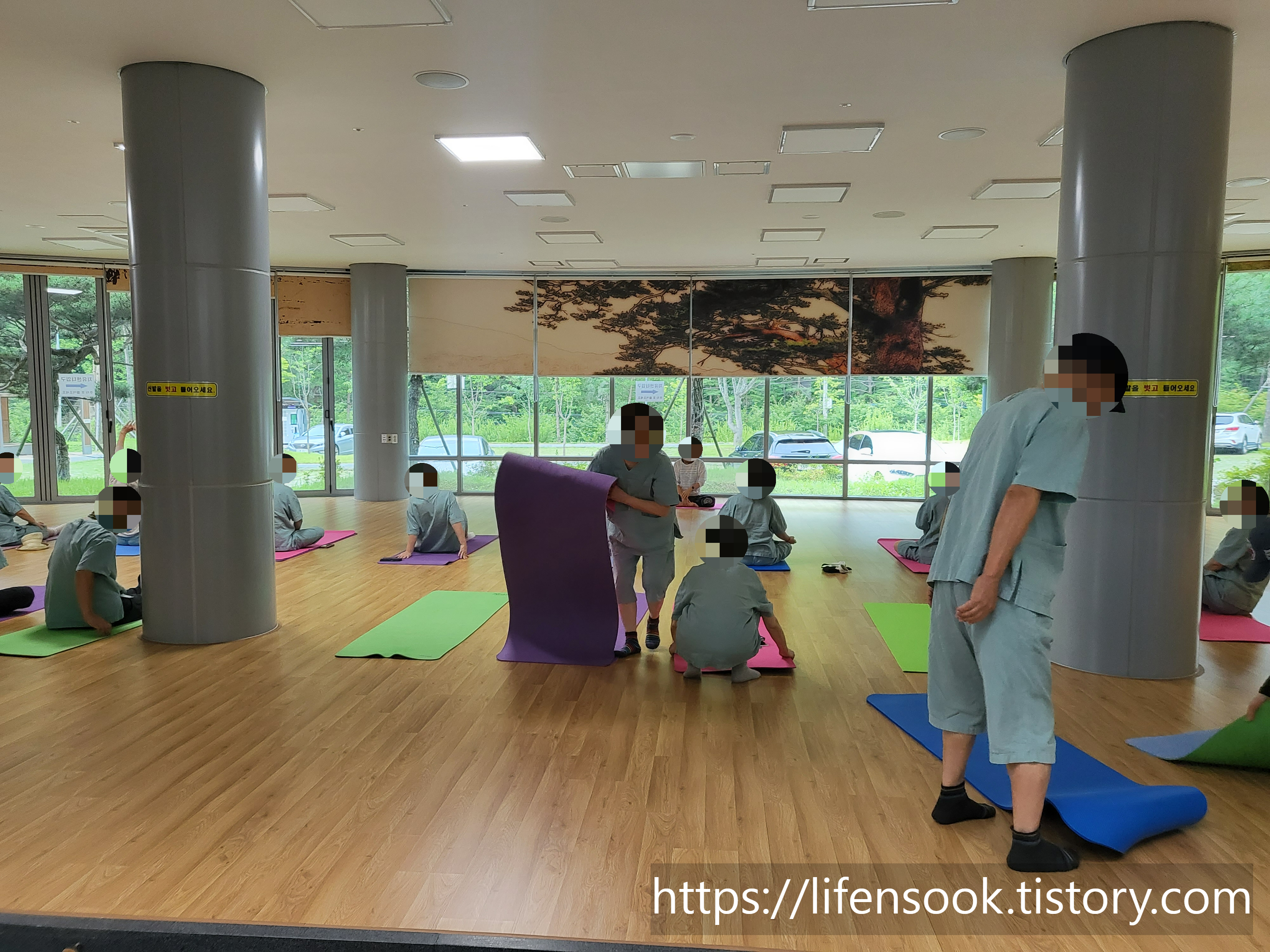 금강송 에코리움 힐링 요가