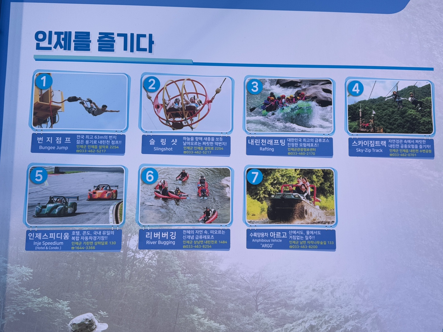 인제 자작나무숲