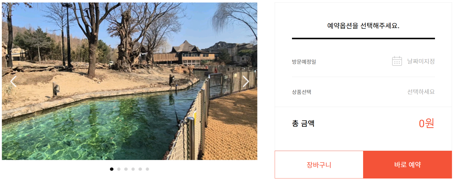 🐾 에버랜드 리버 트레일 어드벤처 솔직 후기! 도보로 걷는 신개념 사파리 체험 ✨